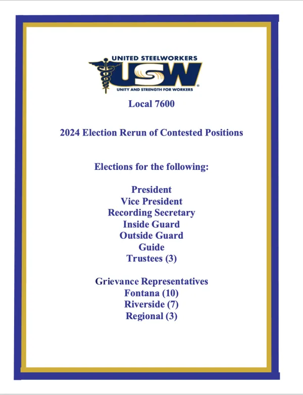 Re Run Election Flyer
